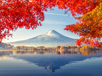 Japan travel review, everything from travel to entertainment