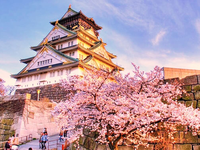 [Share] Should I Buy a Sim to Travel to Japan?