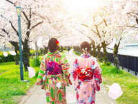 Experience of 7 days self-sufficient travel to Japan you should know