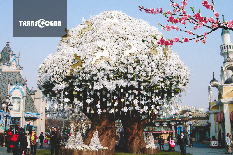 EVERLAND