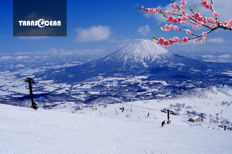 Grinpa Snow Field