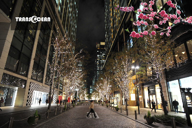 Marunouchi Naka – Dori