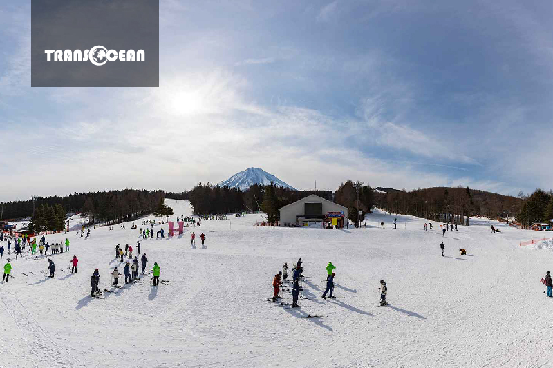 Grinpa Snow Field