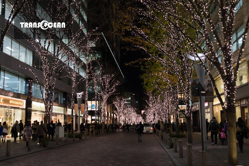 Phố đi bộ Marunouchi Naka – Dori 