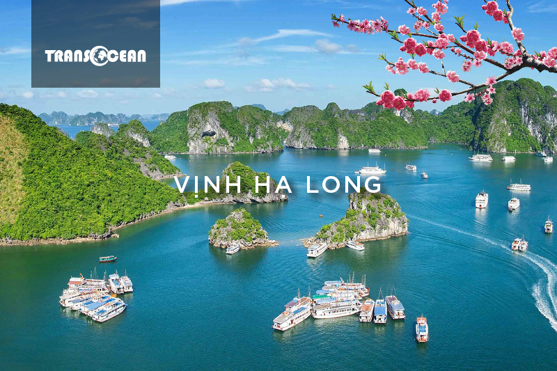MB 611 [Vinh Ha Long]-01.jpg