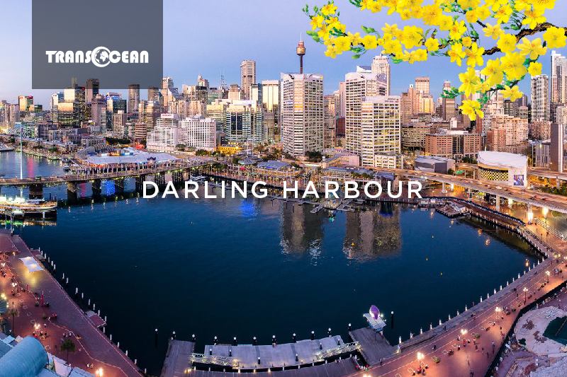 AUS 103 [Darlong Harbour]-01.jpg