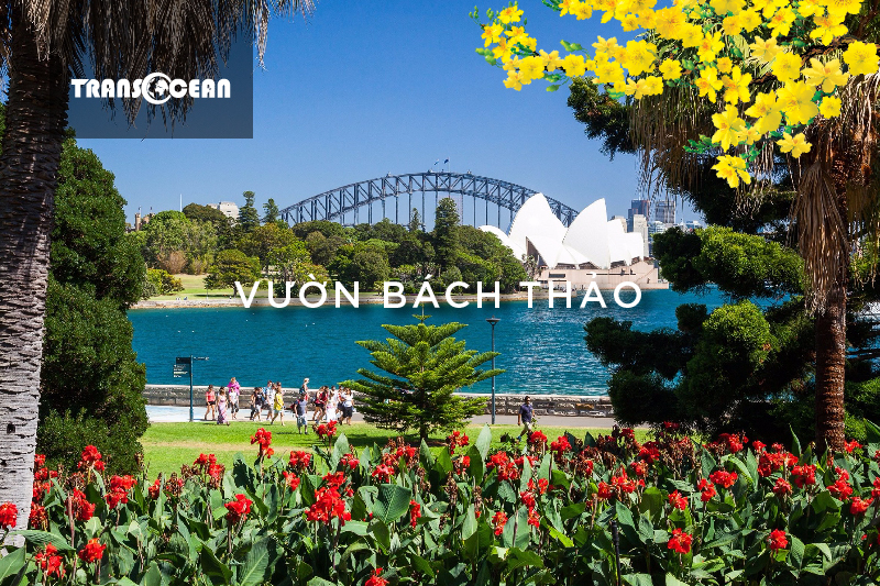 AUS 104 [Vuon Bach Thao]-01.jpg