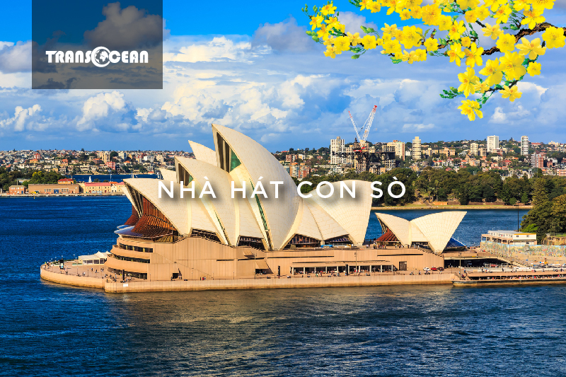 AUS 105 [Nha hat con so]-01.jpg