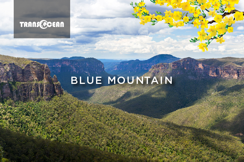 AUS 108 [Blue Mountain]-01.jpg