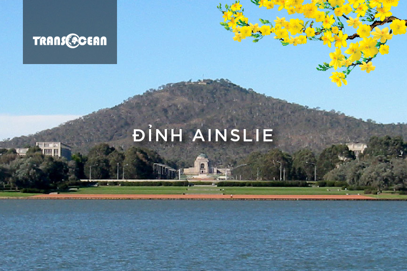 AUS 113 [Dinh Ainslie]-01.jpg