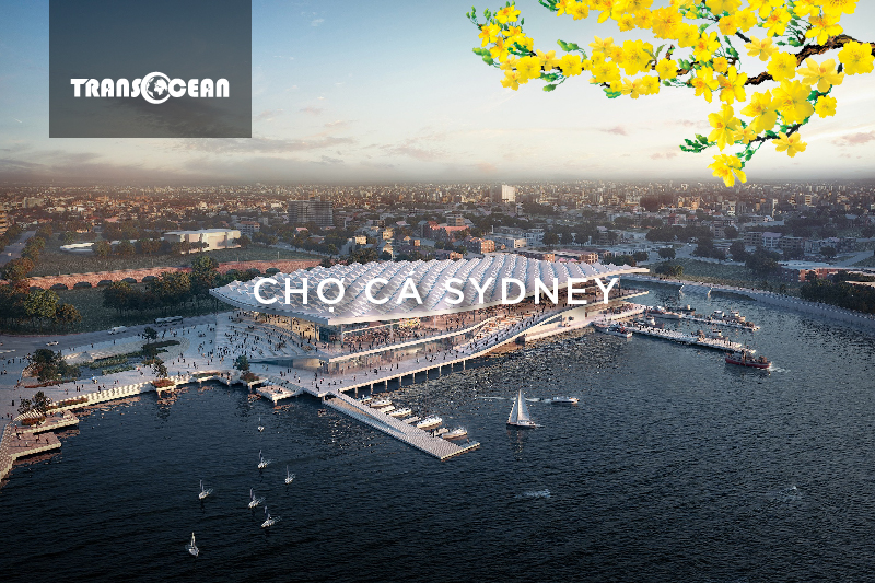 AUS 114 [Cho ca Sydney]-01.jpg