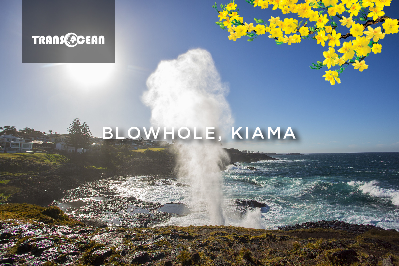 AUS 116 [Blowhole Kiama]-01.jpg