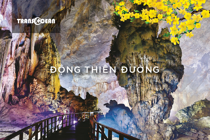 MT 929 [Dong Thien Duong]-01.jpg