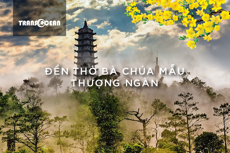 MT 919 [Ba chua mau]-01.jpg