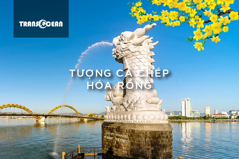 MT 909 [Tuong ca chep hoa rong]-01.jpg