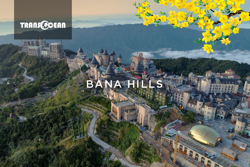 MT 917 [Bana Hills]-01.jpg