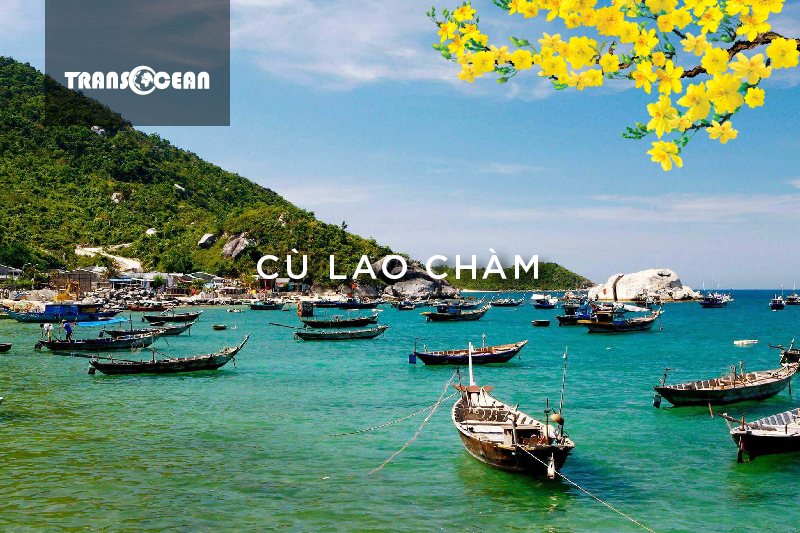 MT 1801 [Cu lao cham]-01.jpg