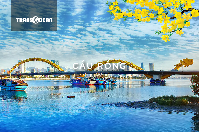 MT 907 [Cau Rong]-01.jpg