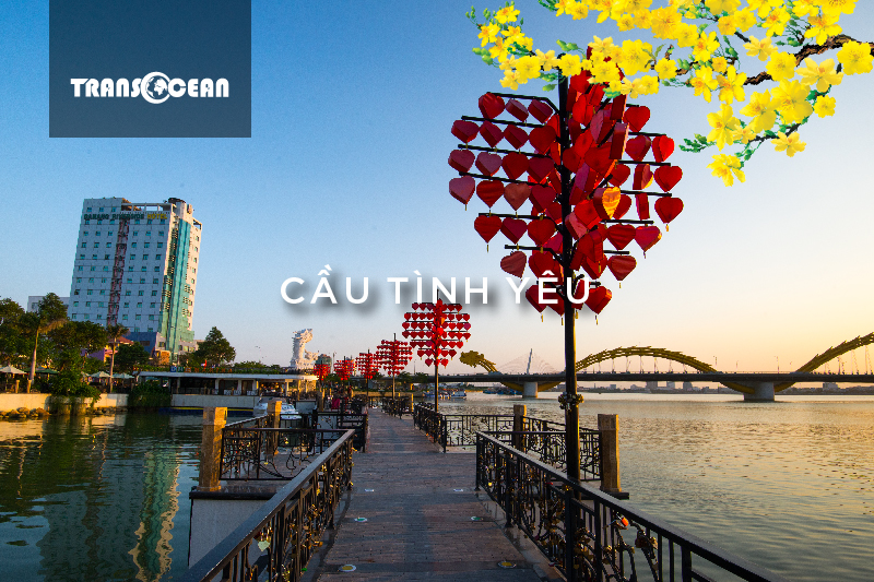 MT 908 [Cau tinh yeu]-01.jpg