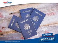 Way to apply Vietnam E-visa for US citizens