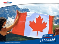 What is the address of Vietnam Embassy in Canada?