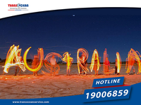 How many ways to apply Vietnam visa for Australian citizens?