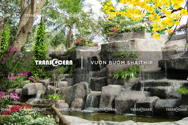 THA 1010 [Vuon buom Shaithip]-01.jpg