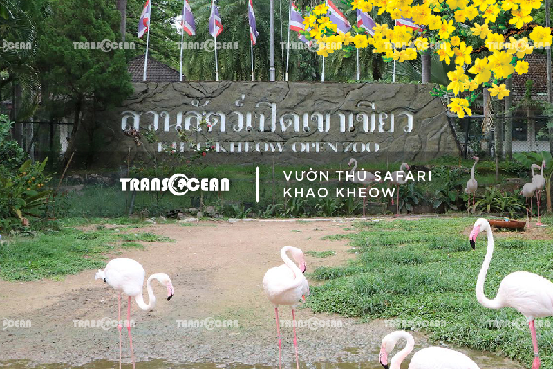 THA 1011 [Safari Khao Kheow]-01.jpg