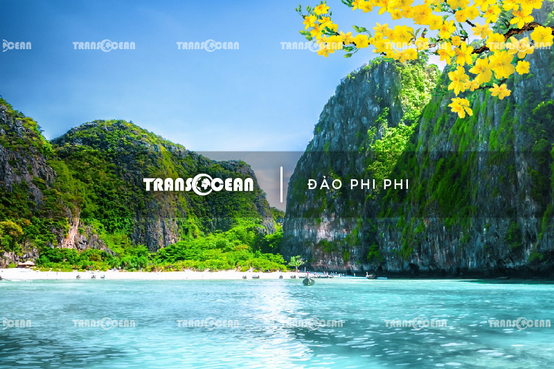 THA 1106 [Dao Phi Phi]-01.jpg