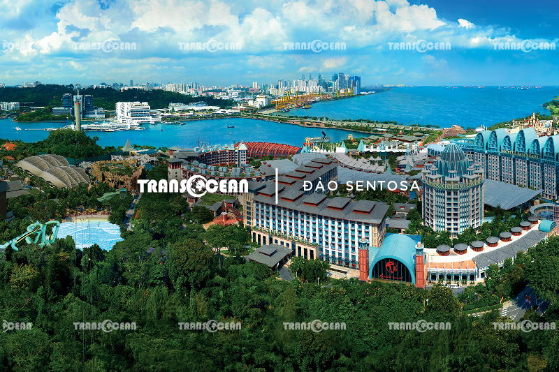 SGP - MYS 609 [Dao Sentosa]-01.jpg