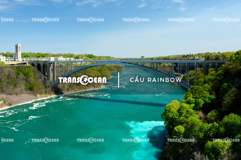 CAN 203 [Cau Rainbow]-01.jpg