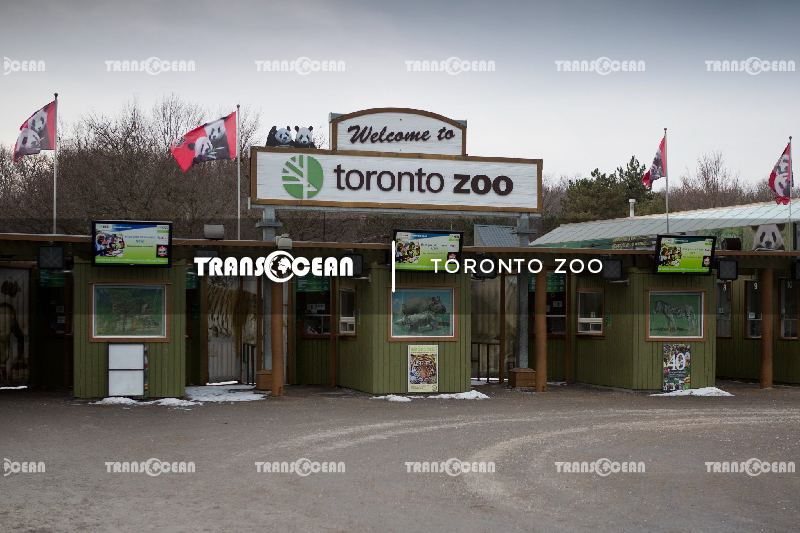 CAN 213 [Toronto Zoo]-01.jpg