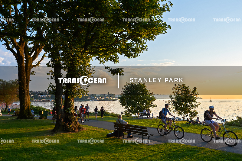 CAN 217 [Stanley Park]-01.jpg