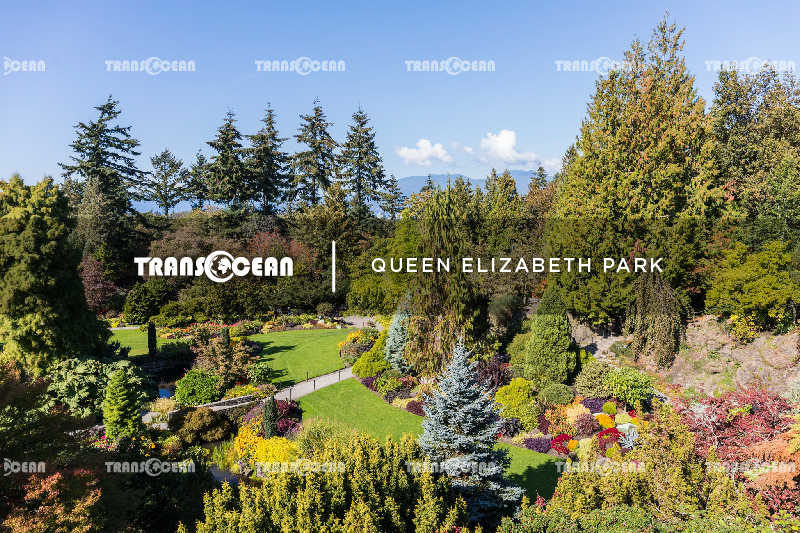 CAN 221 [Queen Elizabeth Park]-01.jpg