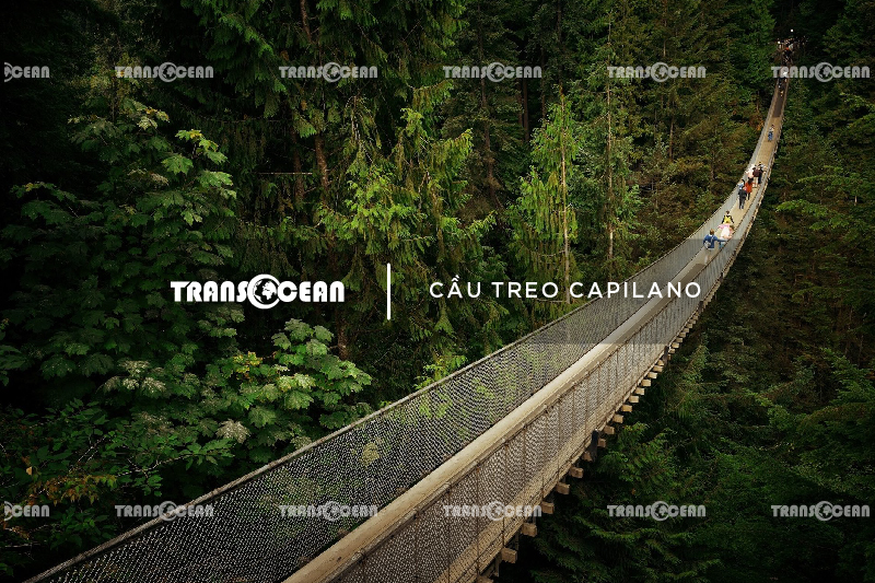 CAN 222 [Cau treo Capilano]-01.jpg