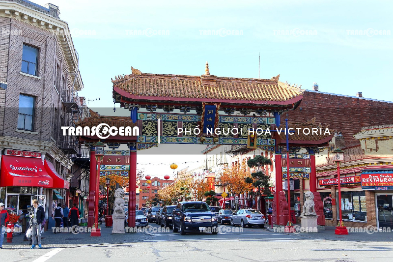 CAN 225 [China Town Victoria]-01.jpg