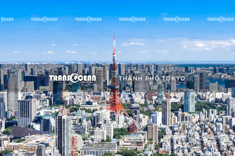 JAP 1519 [Tokyo]-01.jpg