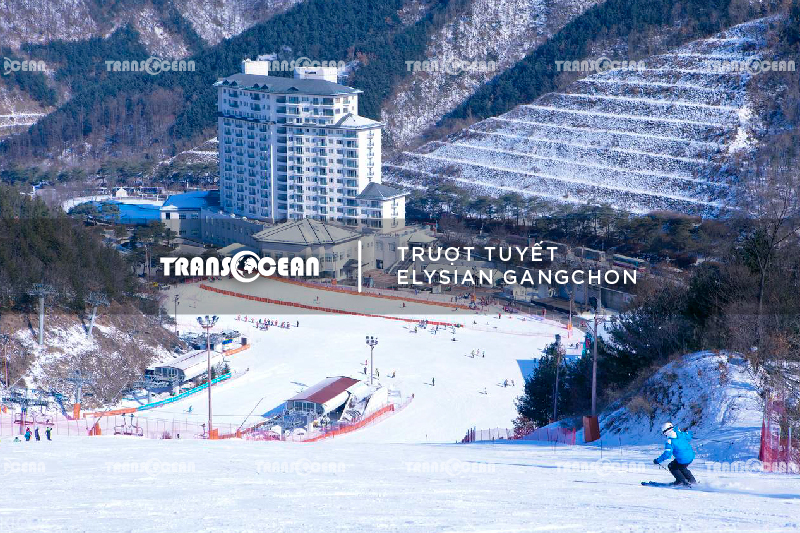 KOR 503 [Elysian Gangchon]-01.jpg