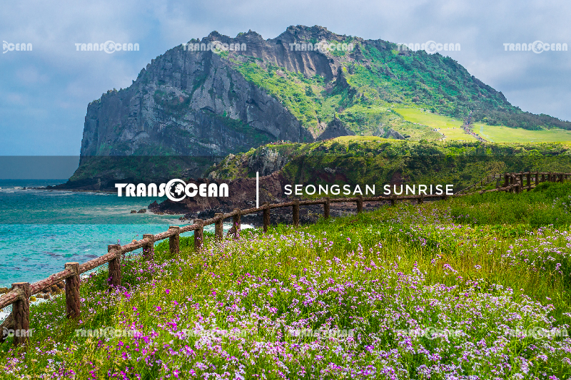 KOR 608 [Seongsan Sunrise]-01.jpg