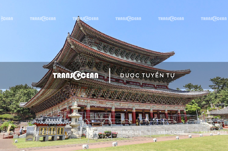 KOR 610 [Duoc tuyen tu]-01.jpg