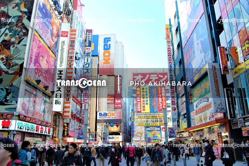 JAP 1522 [Akihabara]-01.jpg