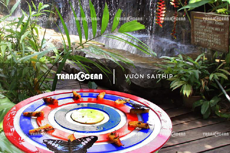 THA 1306 [Vuon Saithip]-01.jpg
