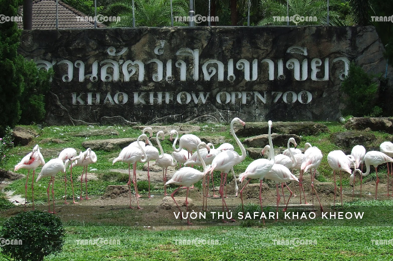 THA 1601 [Safari Khao Kheow]-01.jpg