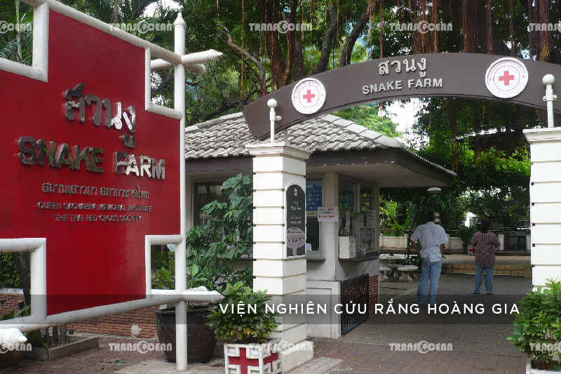 THA 1616 [Snake Farm]-01.jpg