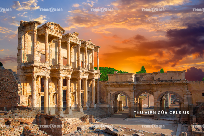 TUR 211 [Celsius]-01.jpg