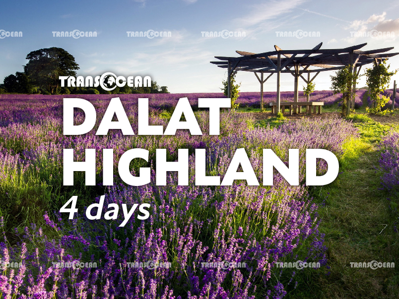 da-lat-4-days-3-nights-5.jpg