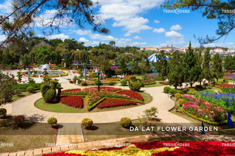 da-lat-4-days-3-nights-4.jpg
