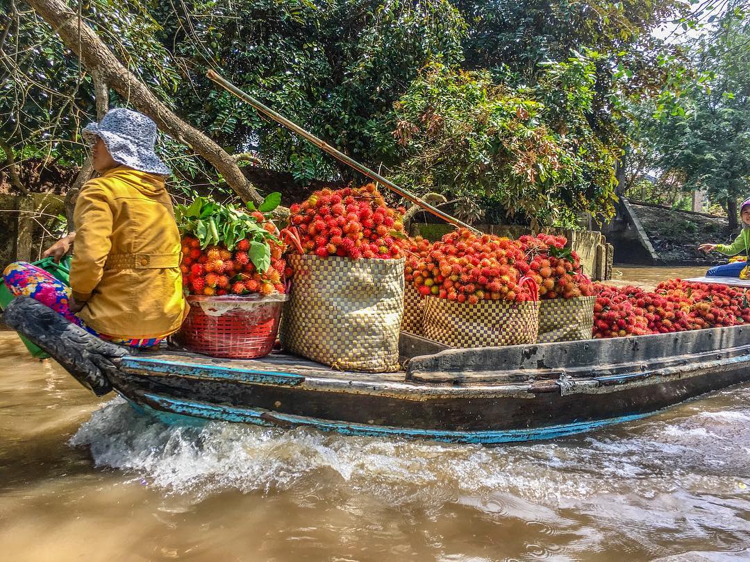 Khám Phá Miền Tây Sông Nước 5