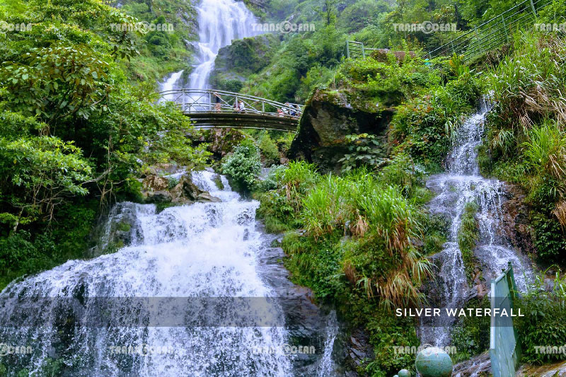 INB-304-[Silver-Waterfall]-01.jpg