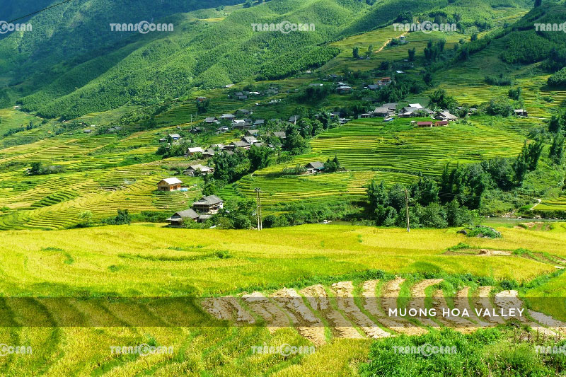 INB-307-[Muong-Hoa-Valley]-01.jpg